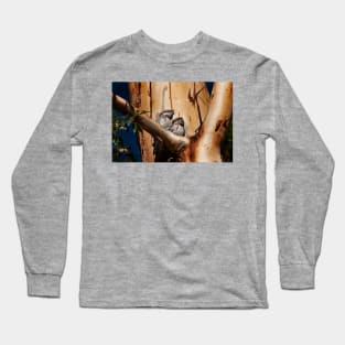 Tawny Frogmouth_6258AC Long Sleeve T-Shirt